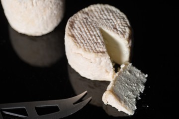 Studio shot of traditional goat cheese Chabichou