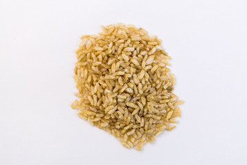 Orzo pasta white background