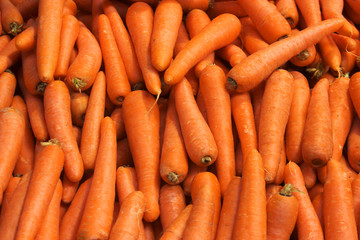 carrots close up