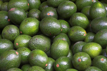avocado in the market