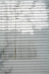 NYC Storefront Rolling Security Gate