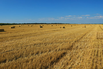 Fototapeta na wymiar Hay bale in the countryside