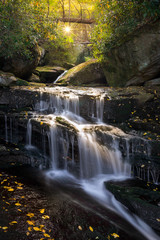 Fototapeta premium Opadłe liście i kaskadowa woda, Park Stanowy Blackwater Falls, Wirginia Zachodnia