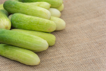 fresh cucumber on  sack