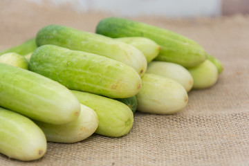 fresh cucumber on  sack