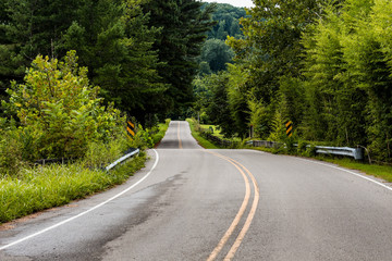 Open Road in Forest