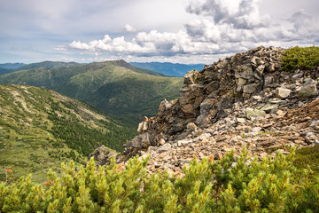 Fototapeta na wymiar View of Chekanovsky peak in the Khamar-Daban mountains
