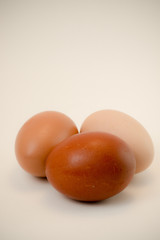 Vertical close up of fresh brown eggs on seamless white background. A healthy protein source by farm raised, free range chickens. room for copy
