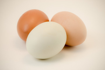 horizontal close up of fresh brown eggs on seamless white background. A healthy protein source by farm raised, free range chickens. room for copy