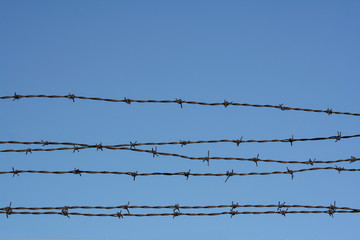 barbed wire. barb wire background, wallpaper.