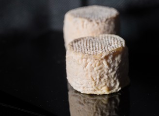 Studio shot of traditional goat cheese Chabichou