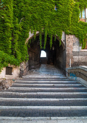 Rome (Italy) - The Staircase or Climb of the Borgia, one of the most suggestive corners of the Italy's Capital
