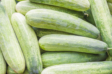 Texture Green cucumbers and background. Agriculture retailer. Farmer's food.