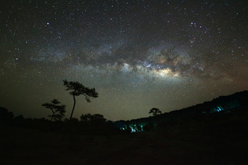 milky way galaxy and silhouette of tree with cloud at Phu Hin Rong Kla National Park,Phitsanulok Thailand