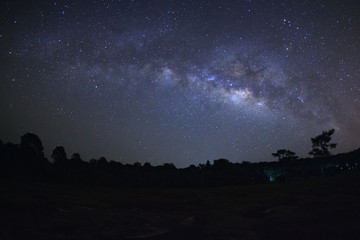 milky way galaxy and silhouette of tree with red light  at Phu Hin Rong Kla National Park,Phitsanulok Thailand