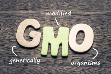 GMO - obrazy, fototapety, plakaty