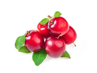 Group of sweet ripe red plums with leaves, isolated on white background