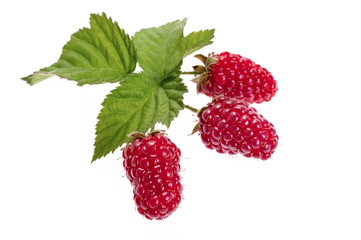 Delicious ripe red raspberry with leaves, isolated on white background