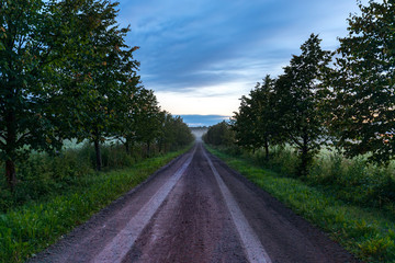 The dirt road leads to mist