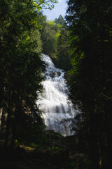 Fototapeta na wymiar Big waterfall in green forest on sunny day