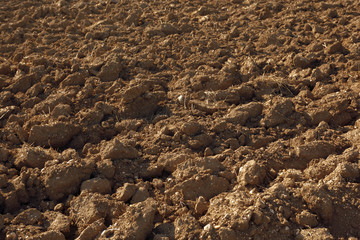 Soil texture background