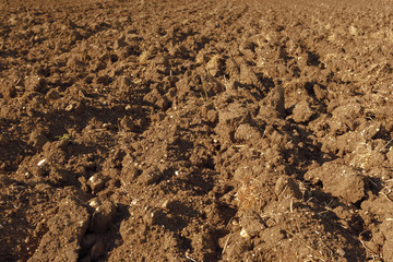 Soil texture background