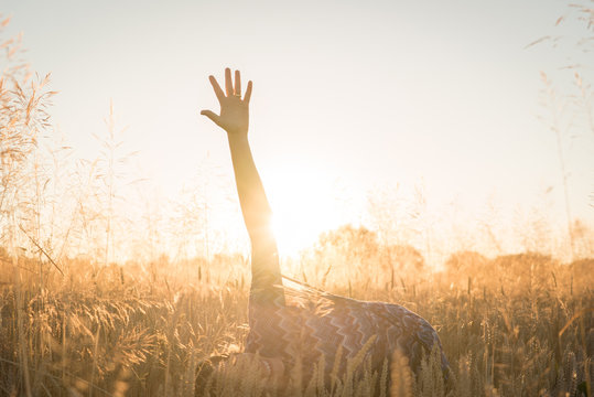 Girl in sunset light posing in field