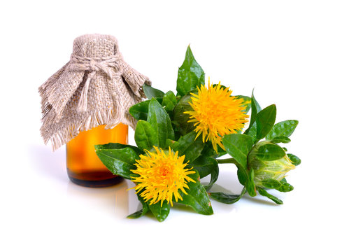 Safflower Plant With Oil In The Bottle.