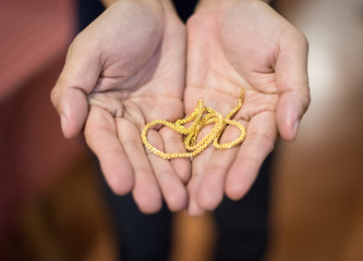 Man has holding gold necklace on hand with blur background.