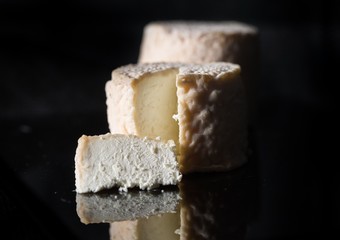 Studio shot of traditional goat cheese Chabichou