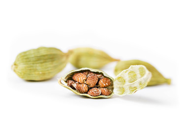 cardamon with cardamon seeds