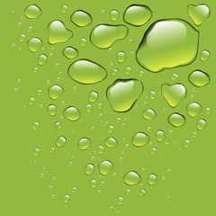 Realistic water drops isolated