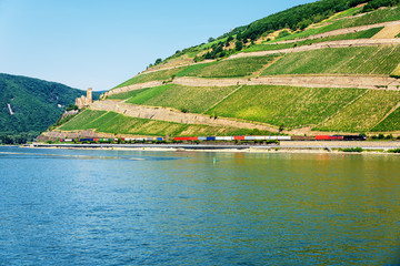 Güterzug Burg Ehrenfels Ruine Rhein Fluss Weinberge
