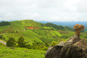 Soybean field ripening on mountain and stone, agricultural landscape.