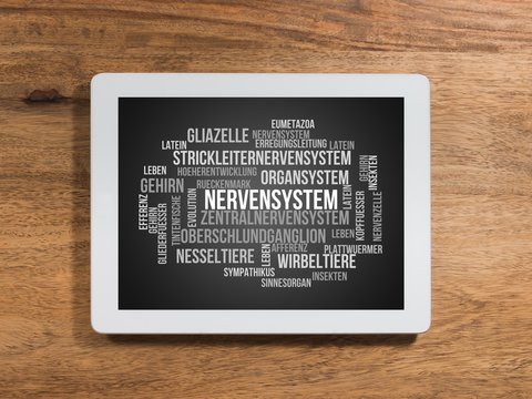 Nervensystem