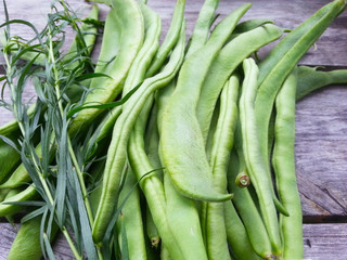 pole beans with tarragon fresh from the garden, grow your own food and be a farmer