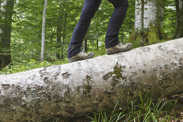 Walking on a trunk