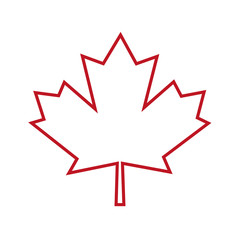 Fototapeta premium Canada leaf