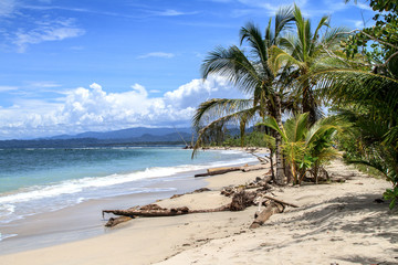 Tropical Beach in Caribbean Sea, Cahuita, Costa Rica
