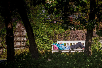 Nap On A Park Bench