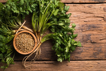 Coriander seeds and leaves on a wood background - obrazy, fototapety, plakaty