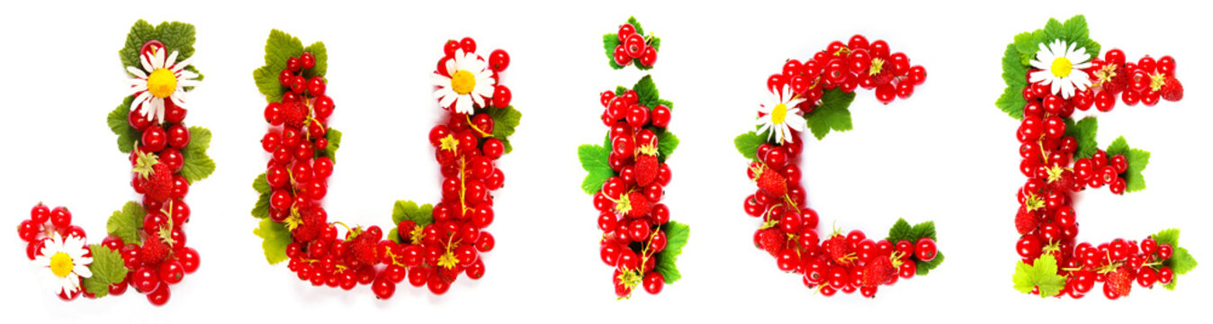  word juice is made up of red currant berries, green leaves and daisy flowers on a white background isolate, the concept of a healthy diet