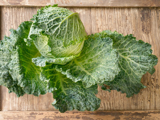 Juicy savoy cabbage on wooden background. Close-up