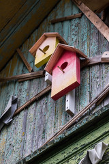birdhouse on an old wooden house painted in different colours