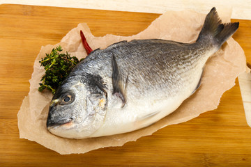 raw dorada fish