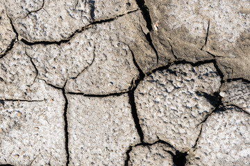 Obraz premium Top view of drought cracked soil texture.Dry mud background texture. Global Warming