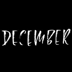 Hand drawn typography lettering. December. Month inscription. Vector Illustration.