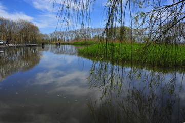 Beautiful landscape near the lake and river in the summer