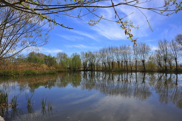 Obraz premium Beautiful landscape near the lake and river in the summer