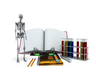 Concepts of school and education biology test tubes skeleton 3d render on white background